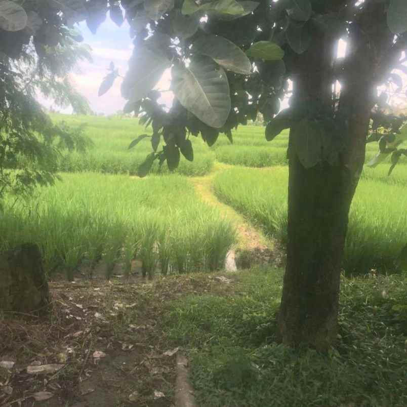 dijual tanah raya munggu kapal