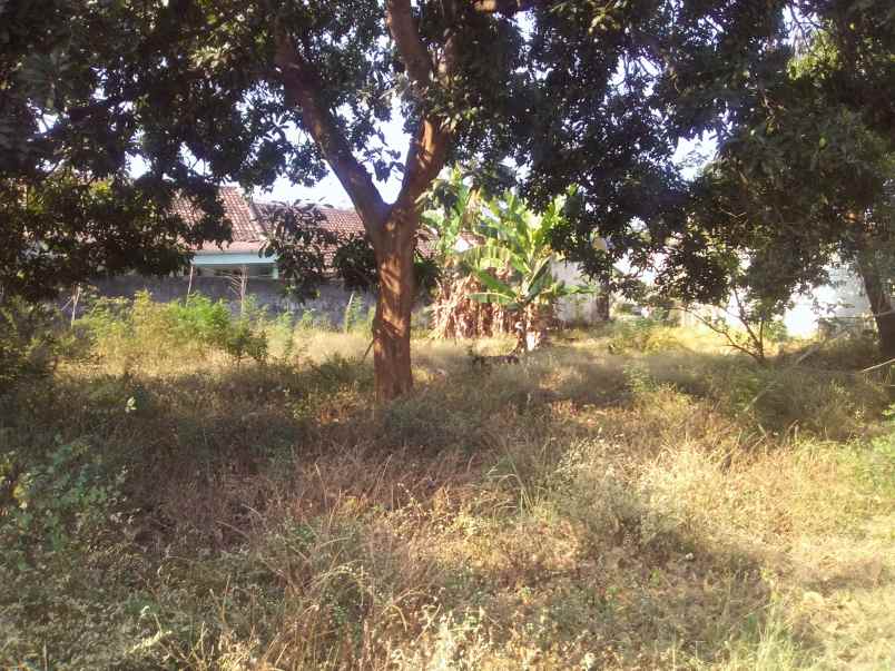 dijual tanah raya panglima sudirman