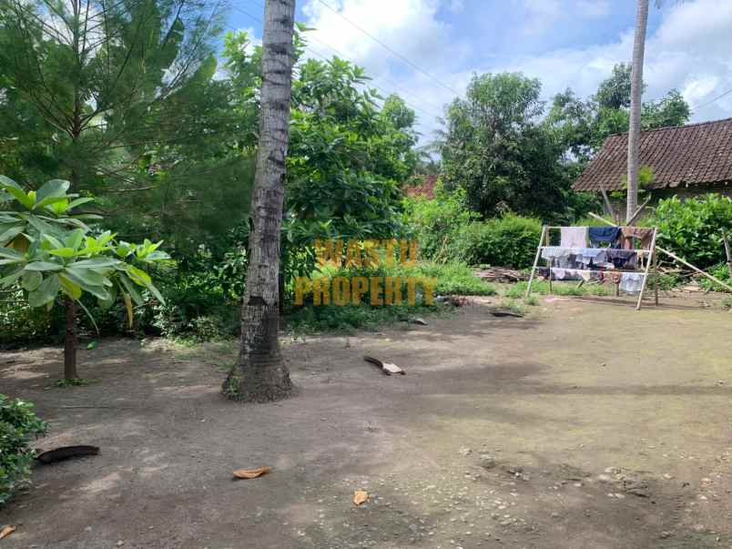 dijual tanah sendangsari
