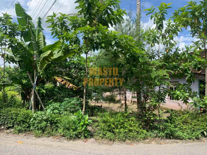 dijual tanah sendangsari