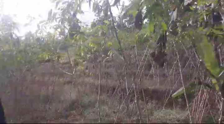 dijual tanah sindanglaya