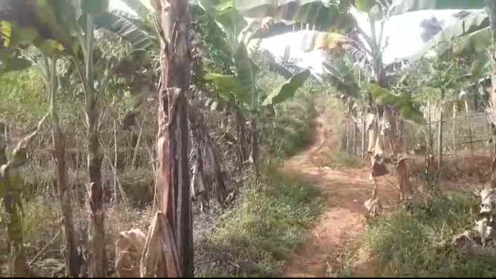 dijual tanah sindanglaya