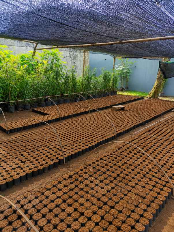 dijual tanah strategis ciapus bogor