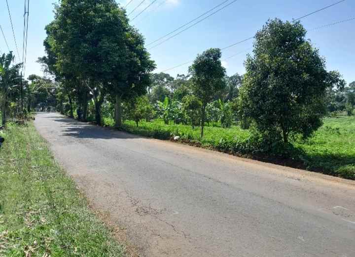 dijual tanah strategis pinggir jalan raya propinsi
