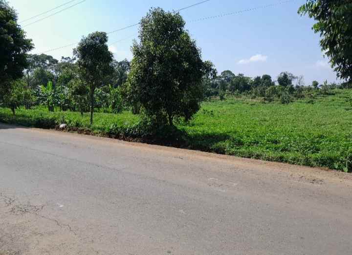 dijual tanah strategis pinggir jalan raya propinsi