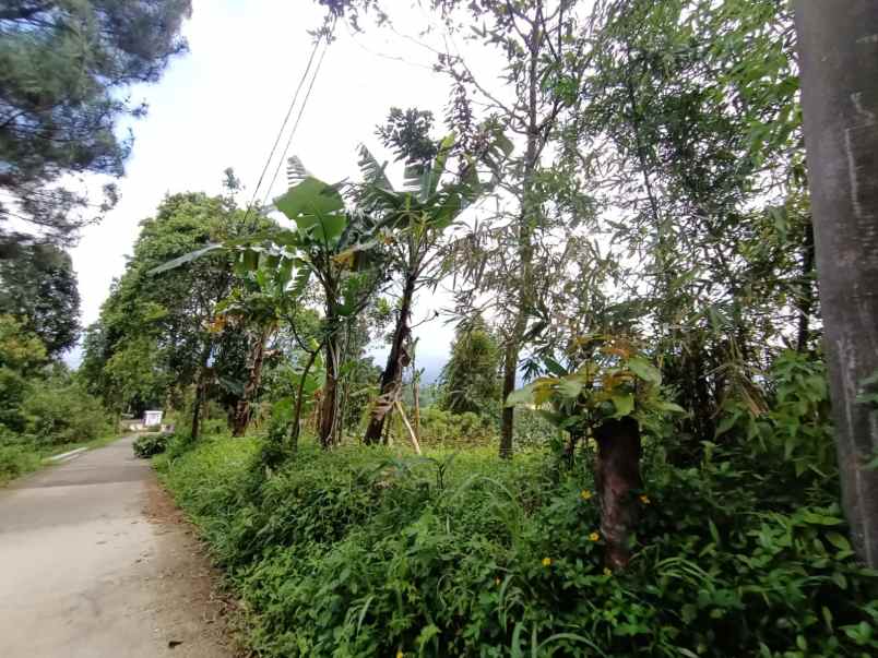 dijual tanah takut halang cijeruk