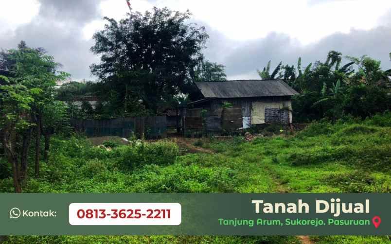 dijual tanah tanjungsari tanjungarum