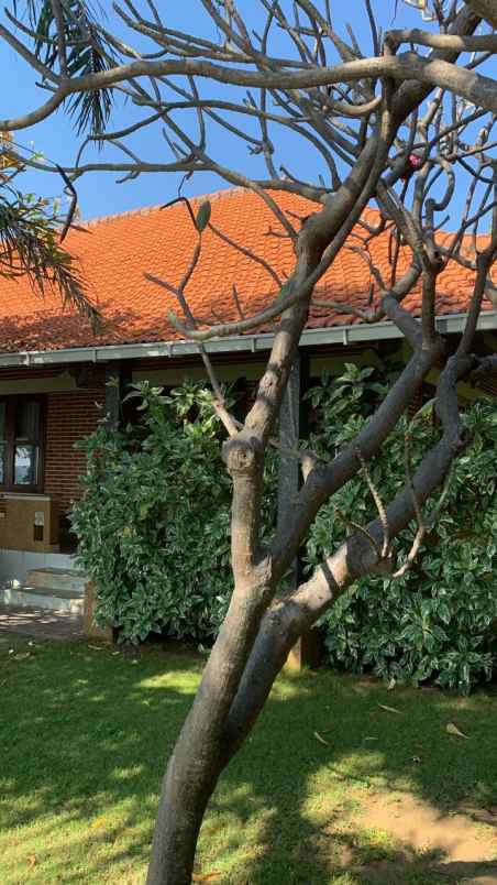 dijual villa beach front air sanih singaraja bali