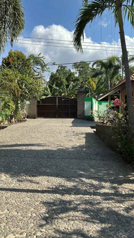 dijual villa beach front air sanih singaraja bali