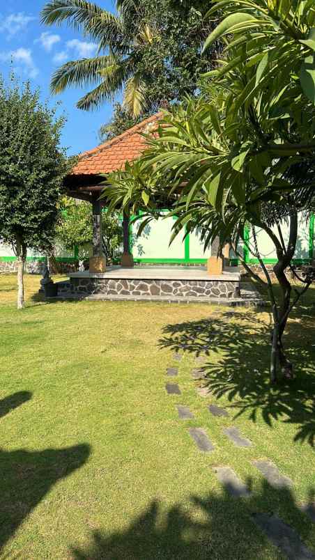 dijual villa beach front air sanih singaraja bali