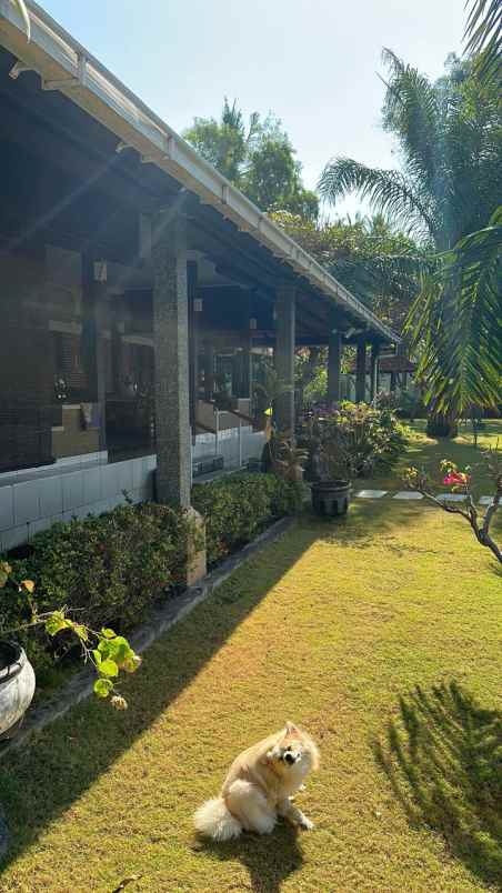 dijual villa beach front air sanih singaraja bali