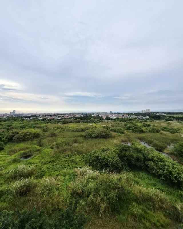 disewakan apartemen educity harvard