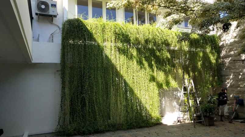 disewakan ruko gudang kantor jemursari