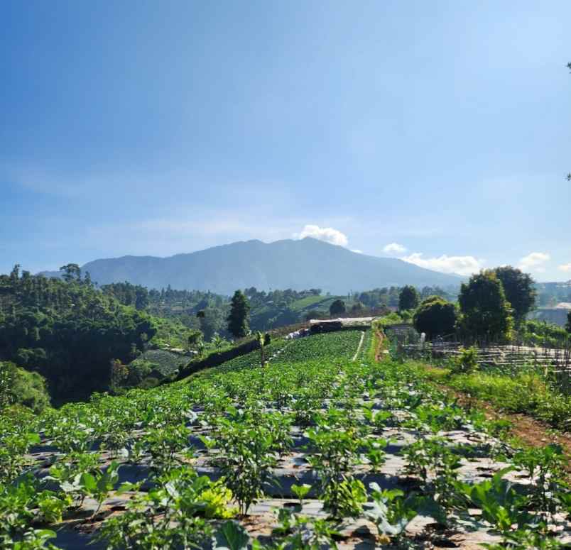 jual tanah bandung buat villa
