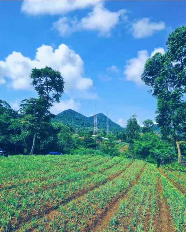 jual tanah bandung view super indah