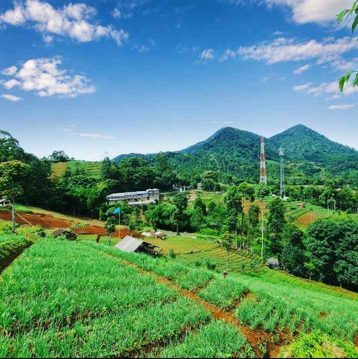 jual tanah bandung view super indah
