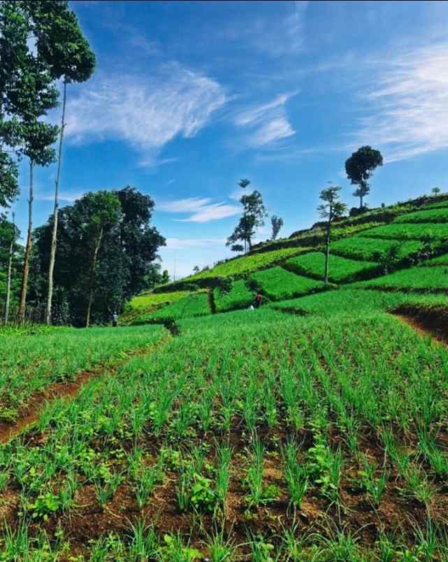 jual tanah bandung view super indah