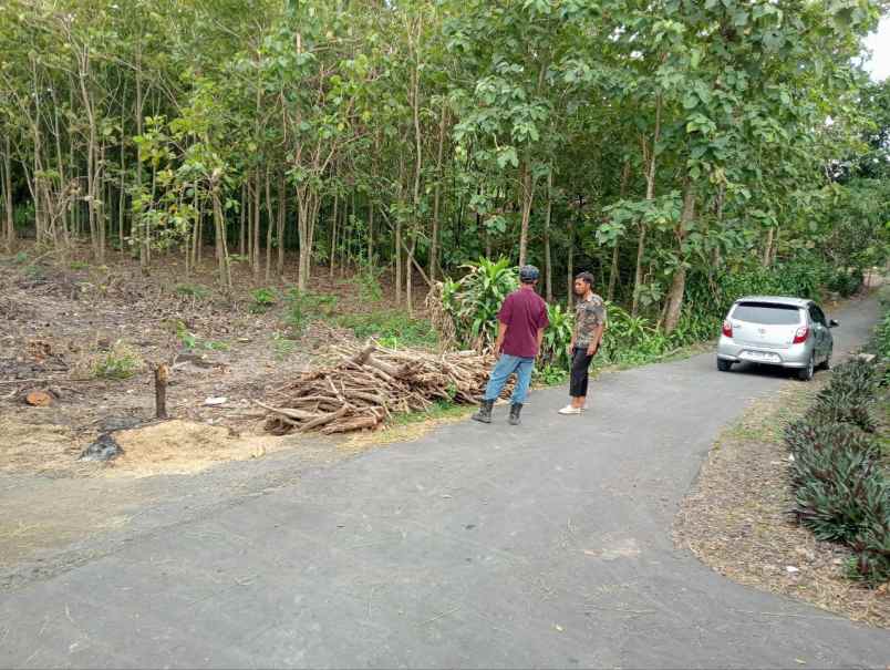 kavling hanya 35 juta di kaliwedi gondang sragen