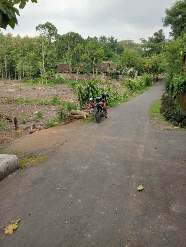 kavling hanya 35 juta di kaliwedi gondang sragen