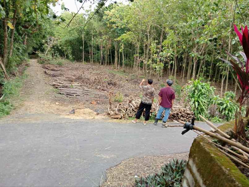 kavling hanya 35 juta di kaliwedi gondang sragen