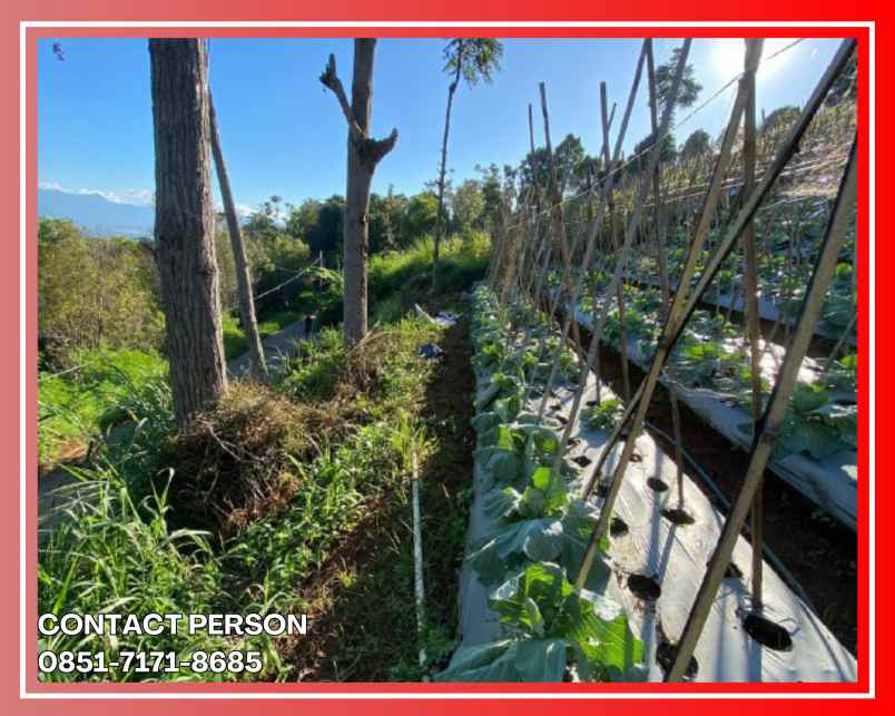 kavling rumah strategis di bandung