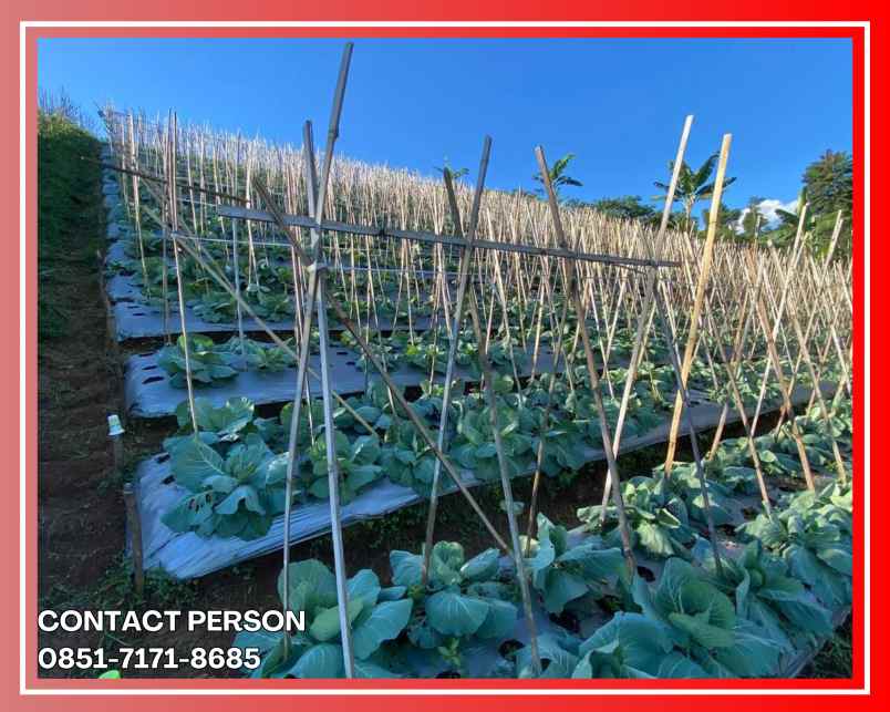 kavling rumah strategis di bandung