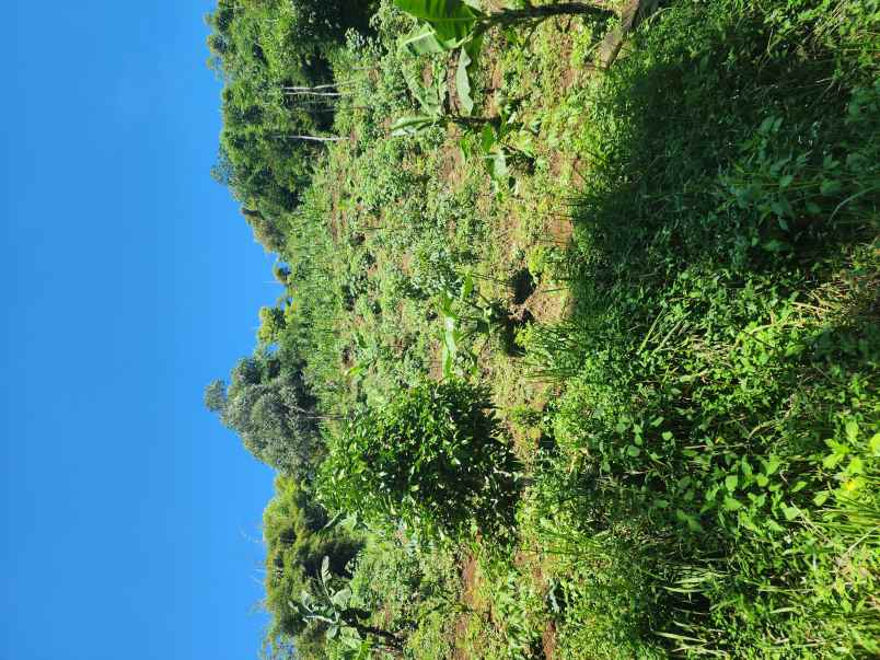 kavling villa dago parahyangan