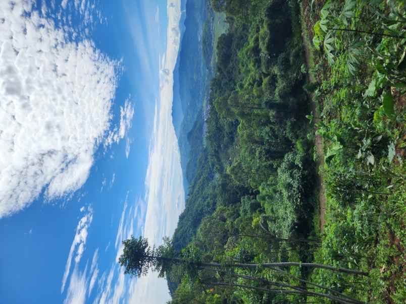 kavling villa dago parahyangan