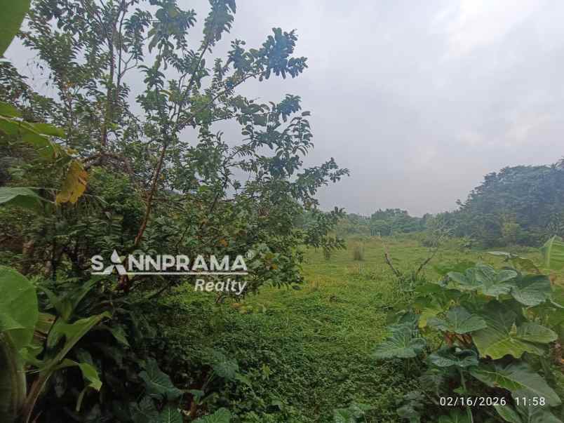 lahan emas 4 738m2 di pasir putih sawangan tanah datar