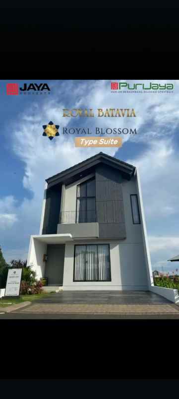 new cluster royal blossom