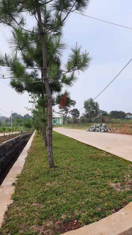 rumah jl raya susukan