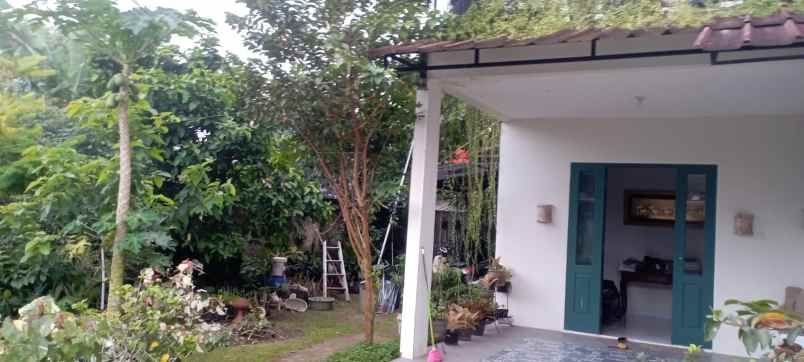 rumah tanah luas warung duren seribu depok