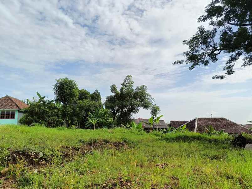 stop ngontrak mulai punya tanah di candi wates