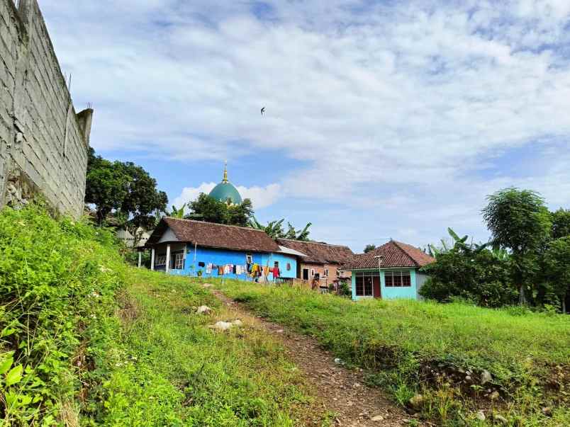stop ngontrak mulai punya tanah di candi wates