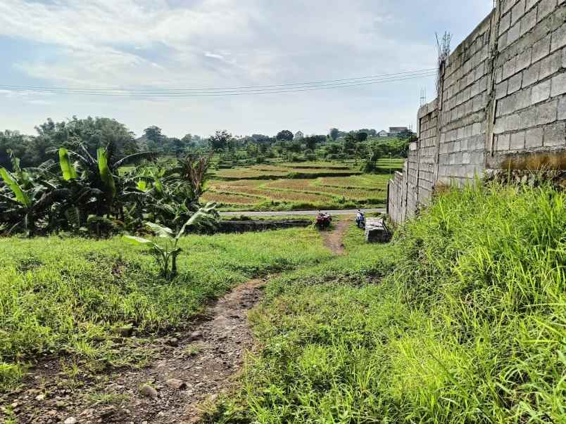 stop ngontrak mulai punya tanah di candi wates