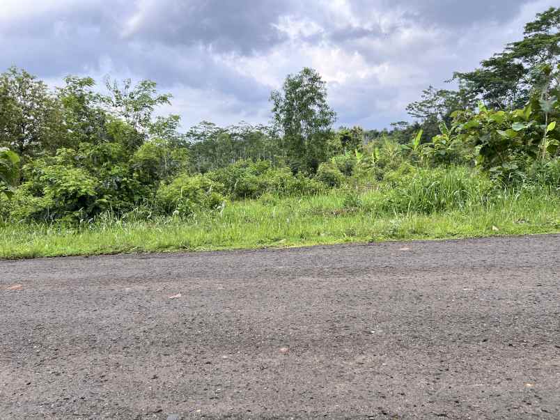 tanah 1 hektar tepi jalan raya kerjo karanganyar