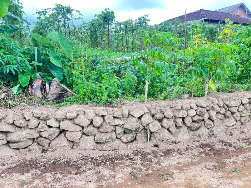 tanah 680m dekat air terjun jumog karanganyar