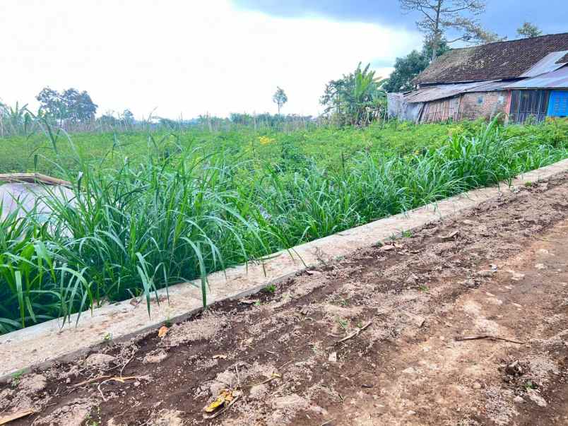 tanah 680m dekat air terjun jumog karanganyar