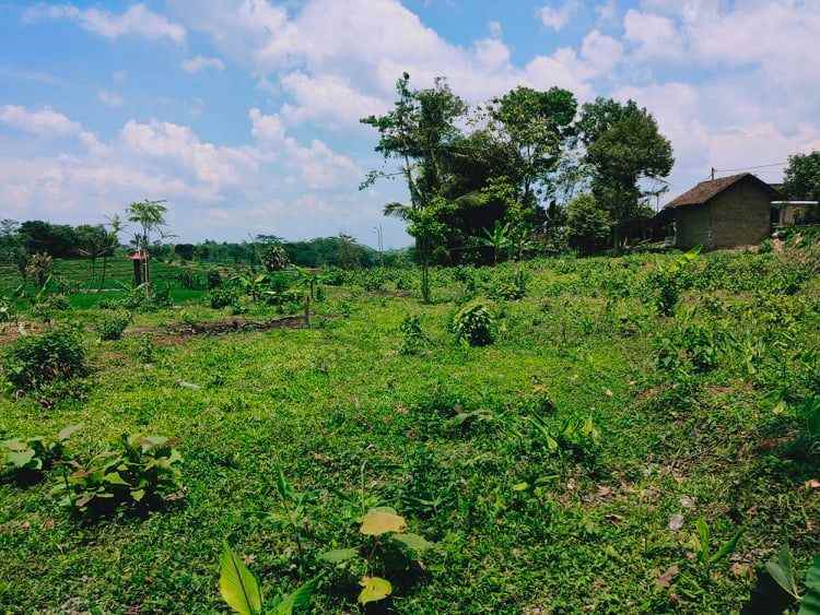 tanah barat pasar karangpandan