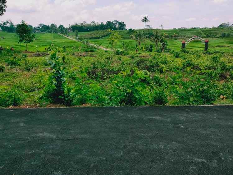 tanah barat pasar karangpandan