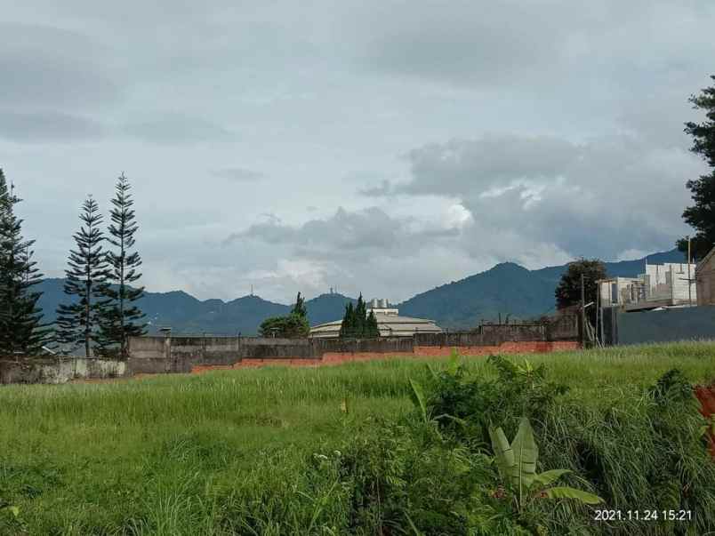 tanah citeko cisarua bogor