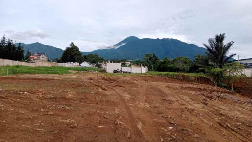 tanah citeko cisarua bogor
