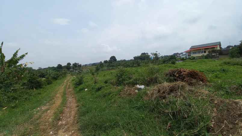 tanah citereup