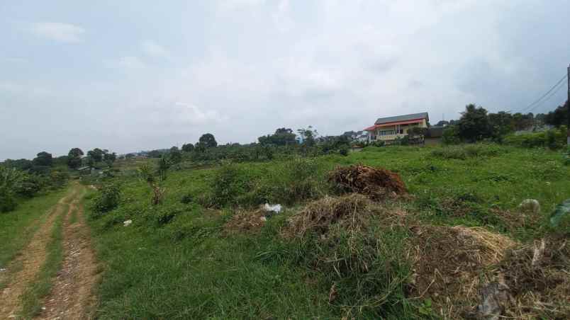 tanah citereup