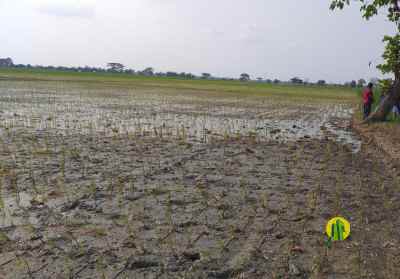 tanah desa banjarsari