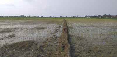 tanah desa banjarsari