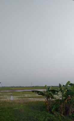 tanah desa banjarsari