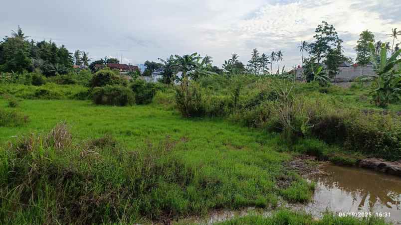 tanah di rajabasa raya luas 4700m shm