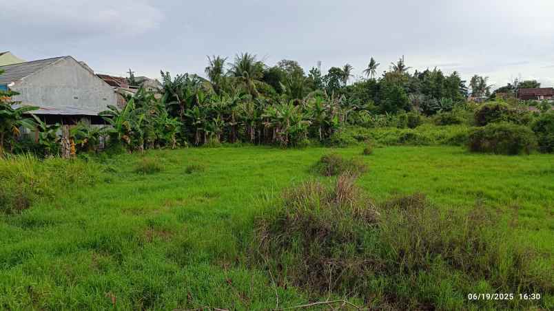 tanah di rajabasa raya luas 4700m shm
