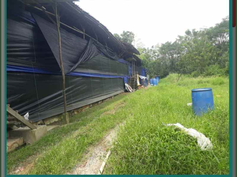 tanah dijual daerah tajur bogor